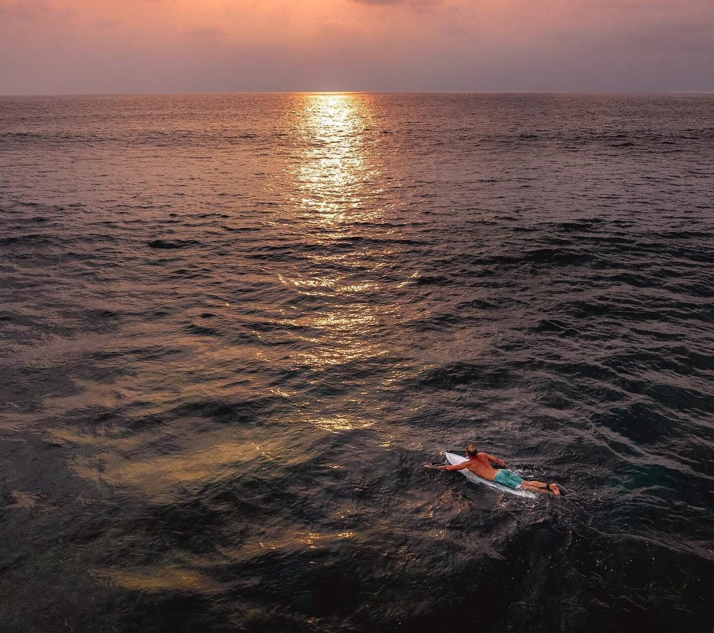 sunset surfer